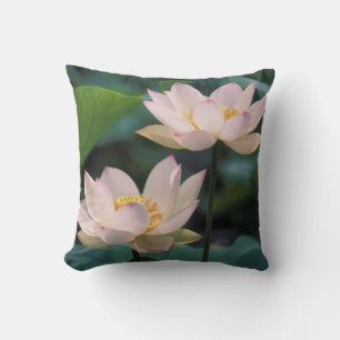 Lotus flower in blossom, China Cushion