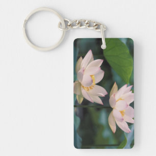 Lotus flower in blossom, China Key Ring