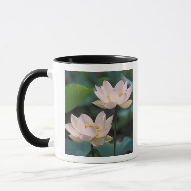 Lotus flower in blossom, China Mug (Left)