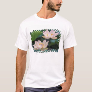 Lotus flower in blossom, China T-Shirt