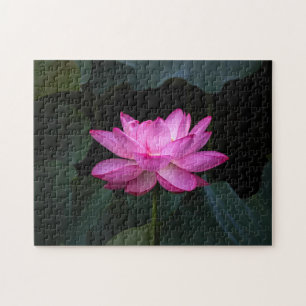 Lotus Flower Jigsaw Puzzle