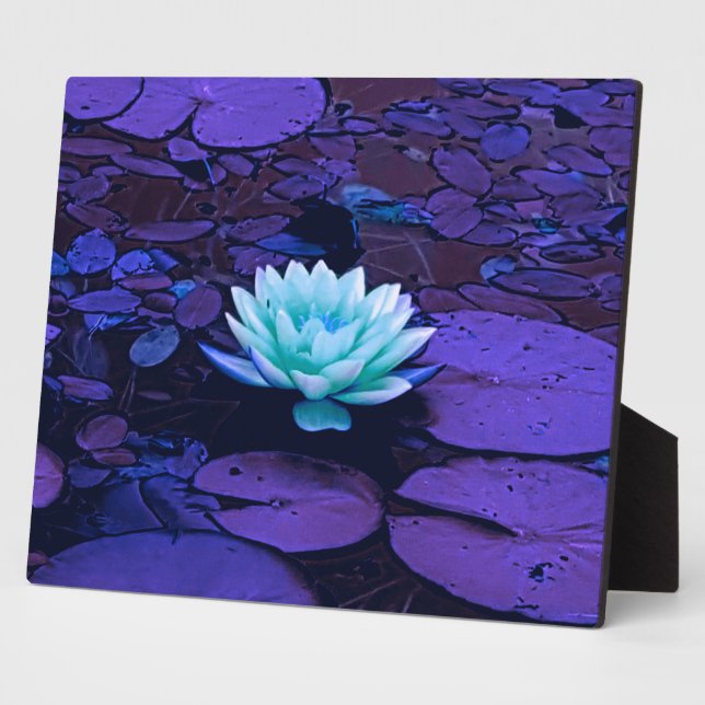 Lotus Flower Magical Purple Blue Turquoise Floral Plaque (Side)