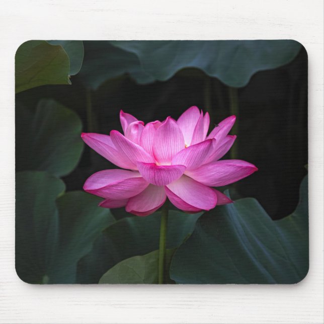 Lotus Flower Mouse Pad (Front)