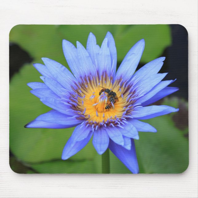 Lotus flower mouse pad (Front)