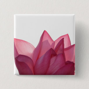 Lotus flower [Nelumbio speciosum] in full 15 Cm Square Badge