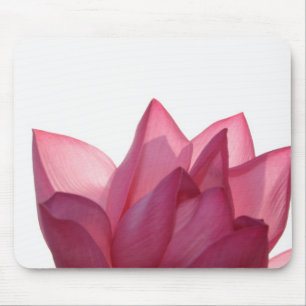 Lotus flower [Nelumbio speciosum] in full Mouse Pad