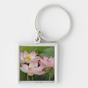 Lotus flower, Nelumbo nucifera, China 2 Key Ring