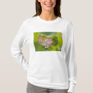 Lotus flower, Nelumbo nucifera, China T-Shirt
