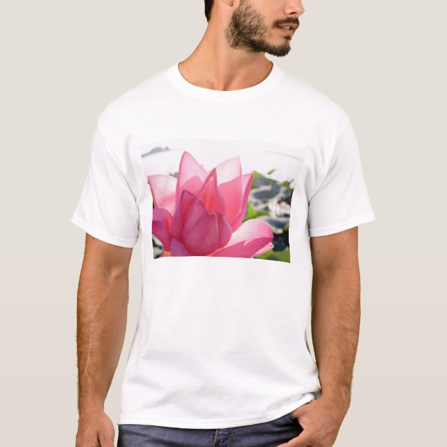 Lotus flower [Nelumbo speciosum] in full T-Shirt (Front)