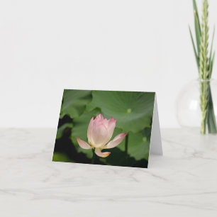 lotus flower note card