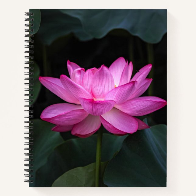 Lotus Flower Notebook (Front)
