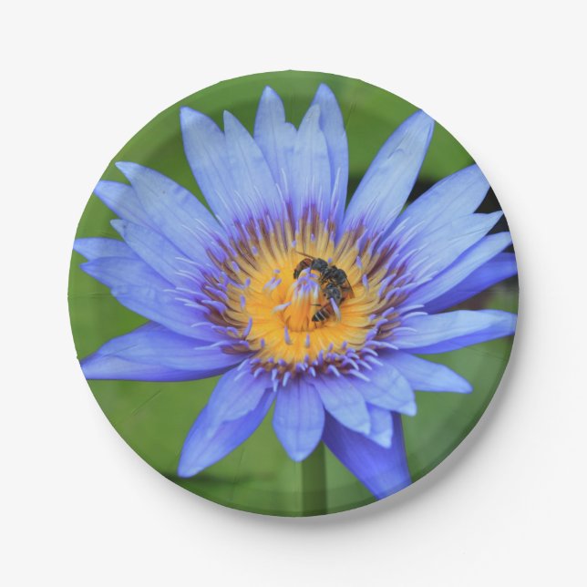 Lotus flower paper plate (Front)