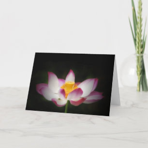 Lotus Flower Photography Great Yoga Om Gift! L Card