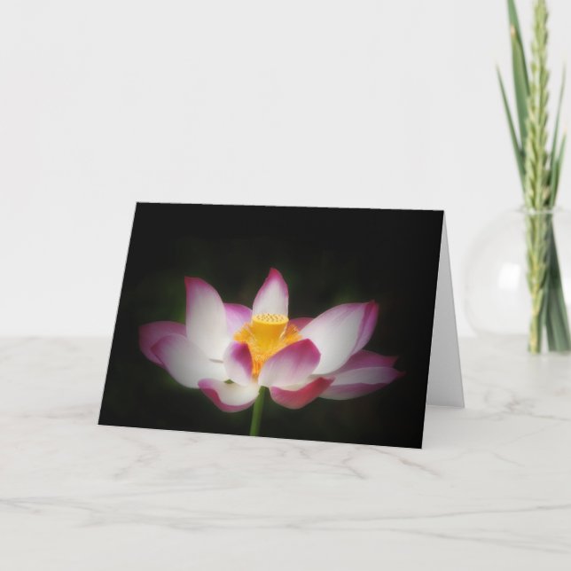Lotus Flower Photography Great Yoga Om Gift! L Card (Front)