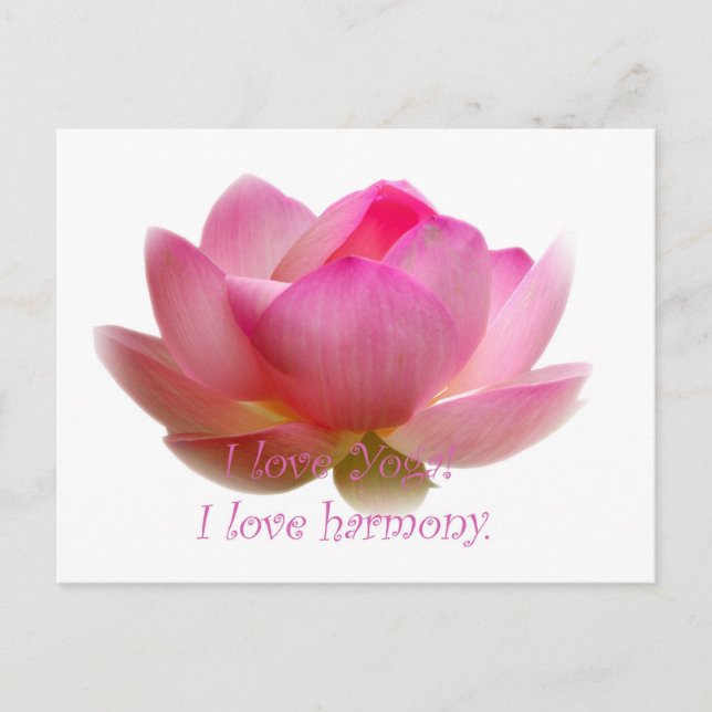 Lotus Flower Postcard (Front)