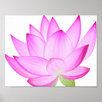 Lotus Flower Poster
