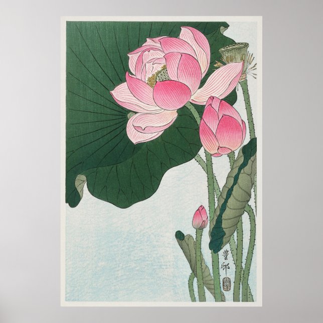 Lotus Flower Poster (Front)