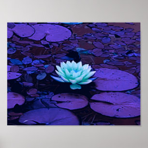 Lotus Flower Purple Blue Turquoise Floral Pond Zen Poster
