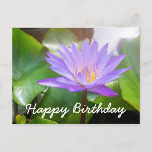 Lotus flower purple colour with leaves pad postcard