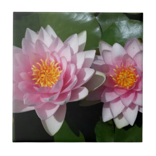 Lotus Flower Tile