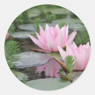 Lotus Flower/Waterlily Classic Round Sticker
