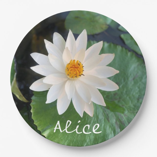 Lotus flower  white colour in the pond  with name paper plate (Front)