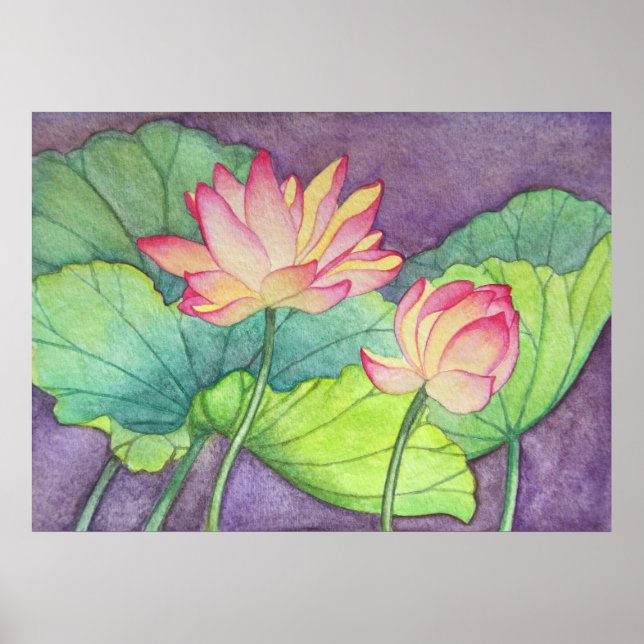 Lotus Flowers #2 Poster Print (Front)
