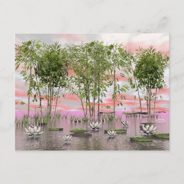 Lotus flowers and bamboos - 3D render Postcard (Front)