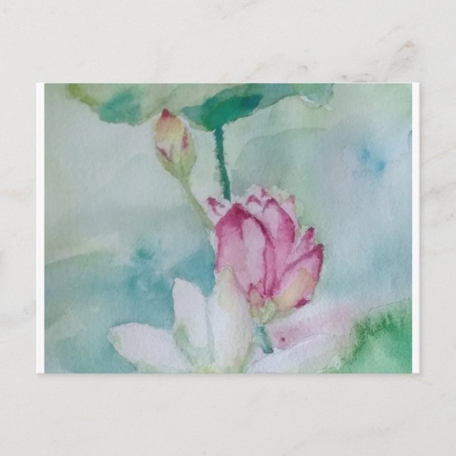 lotus holiday postcard (Front)