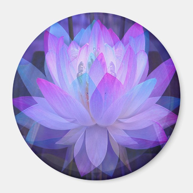 Lotus in Blue... Magnet (Front)