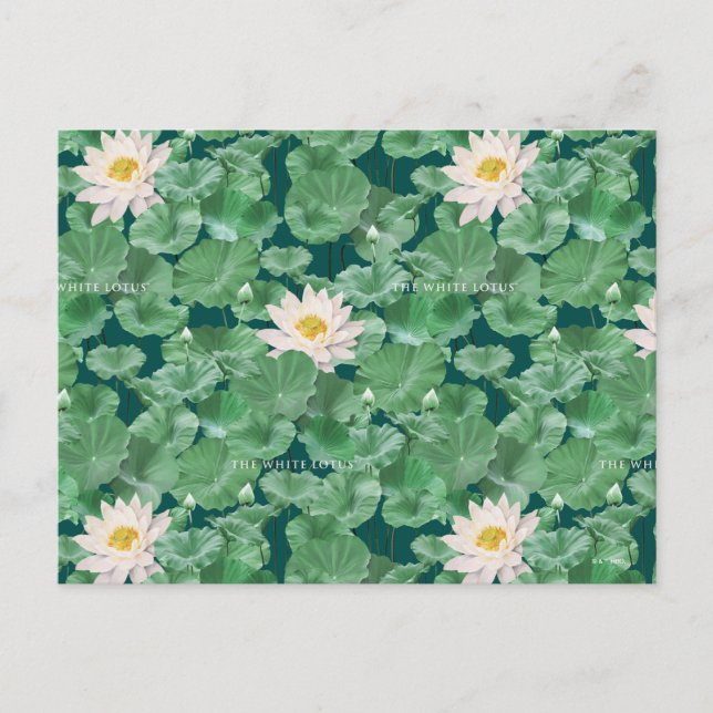 Lotus Lagoon Pattern - The White Lotus Postcard (Front)