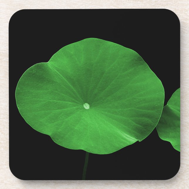Lotus Leaves Coaster (Front)
