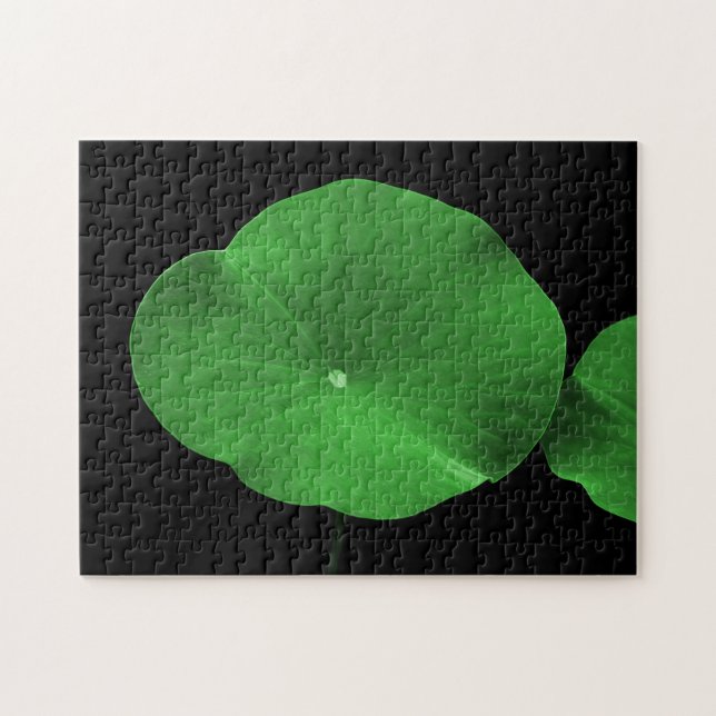 Lotus Leaves Jigsaw Puzzle (Horizontal)