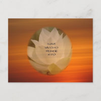 Lotus "Nam Myoho Renge Kyo" SGI Buddhist Postcard