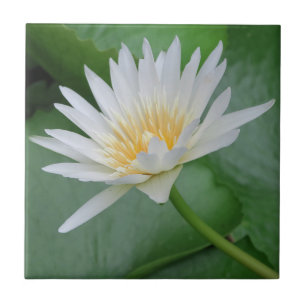 Lotus, Namaste, meditation, zen, shops, plant, nat Ceramic Tile