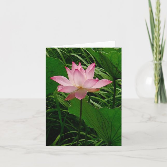 Lotus Notecard (Front)