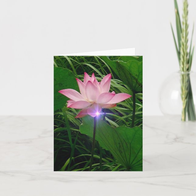 Lotus Notecard (Front)