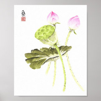 Lotus of Quiet Dawn Poster
