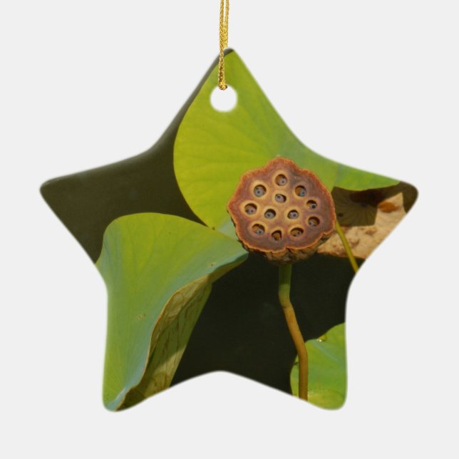 Lotus Pod and Lilly Pad Ceramic Tree Decoration (Front)