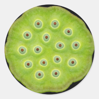Lotus Pod Stickers