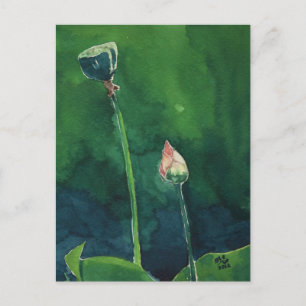 Lotus Postcard
