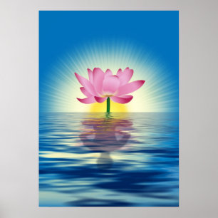 Lotus Reflection Poster
