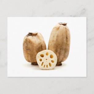 Lotus roots postcard