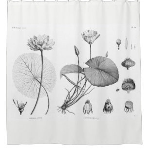 Lotus Shower Curtain