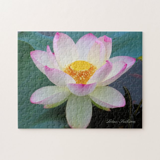 Lotus "Suihiren" [Jigsaw puzzle: 252P] ジグソーパズル Jigsaw Puzzle (Horizontal)