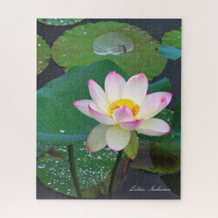 Lotus "Suihiren" [Jigsaw puzzle: 520P] ジグソーパズル Jigsaw Puzzle