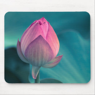 Lotus Water Lily Flower Mouse Pad