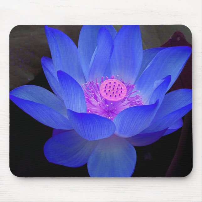 lotus,waterlily mouse pad (Front)