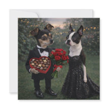 Louie & Luna Wish You a Happy Valentine's Day 1