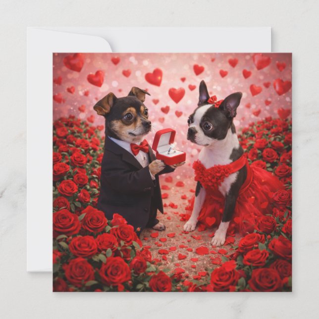 Louie & Luna Wish You a Very Special Day 3 Card (Front)